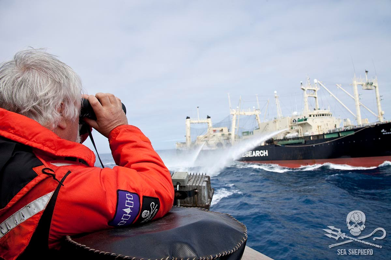 A Japanese “research” ship shoos away Sea Shepherd activists with water cannons while Paul Watson looks on. (Image: Sea Shepherd)